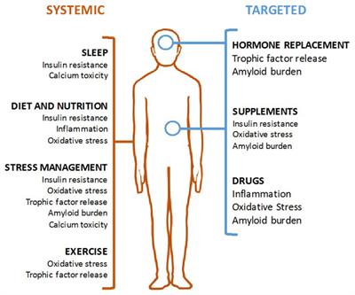 Mechanisms of Risk Reduction in the Clinical Practice of Alzheimer’s Disease Prevention